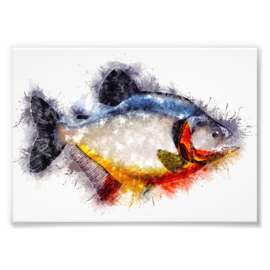 Fischkunst vom Roten Belogen Piranha Aquarell Fotodruck (Vorne)