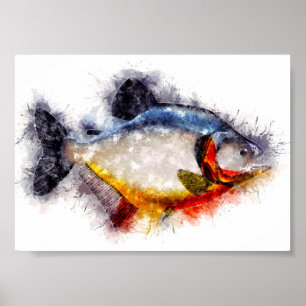 Fischkunst vom Roten Belogen Piranha Aquarell Poster