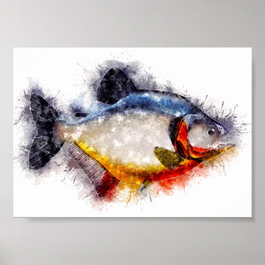 Fischkunst vom Roten Belogen Piranha Aquarell Poster (Vorne)