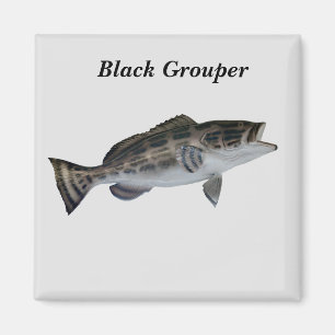 Fischmagnet Magnet