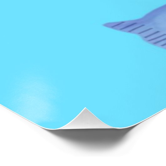 Fischmalerei Poster (Ecke)