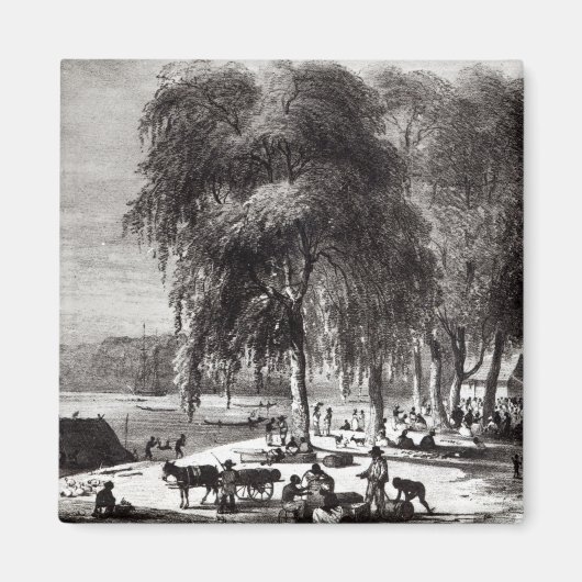 Fischmarkt, Paramribo Magnet (Vorne)