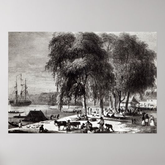 Fischmarkt, Paramribo Poster (Vorne)