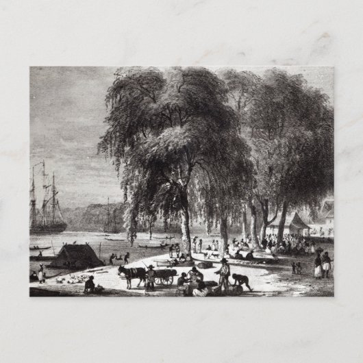Fischmarkt, Paramribo Postkarte (Vorderseite)
