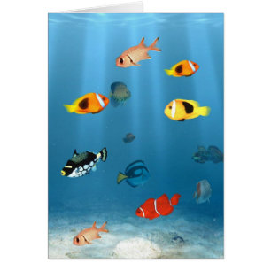 Fischmeere