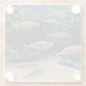 Fischmuschel Glasuntersetzer (Rückseite)