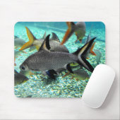 Fischmuschel im Frühjahr, Spanien Mousepad (Mit Mouse)