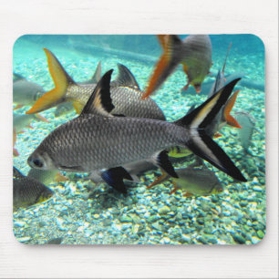 Fischmuschel im Frühjahr, Spanien Mousepad