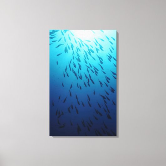 Fischmuschel Leinwanddruck (Vorderseite)