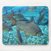 Fischmuschel Mousepad (Vorne)