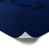 Fischmuschel Poster (Ecke)