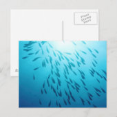 Fischmuschel Postkarte (Vorne/Hinten)