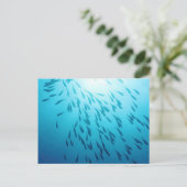 Fischmuschel Postkarte (Stehend Vorderseite)