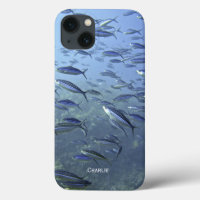 Fischmuschel. Tauchen unter Wasser. Personalisiere