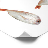 Fischmuster Poster (Ecke)