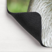 Fischotter Mousepad (Ecke)