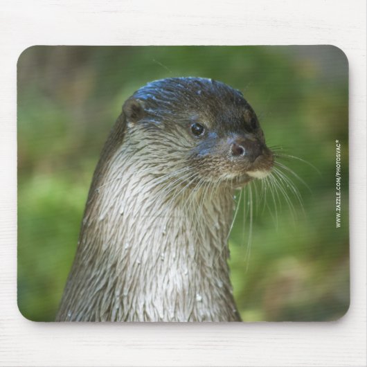 Fischotter Mousepad (Vorne)
