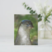 Fischotter Postkarte (Stehend Vorderseite)