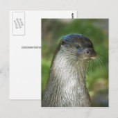 Fischotter Postkarte (Vorne/Hinten)