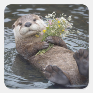 Fischotter schwimmt mit Wildblumenstrauß Quadratischer Aufkleber
