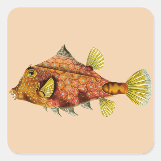 Fischpackung passen mich an Aufkleber an (Vorderseite)