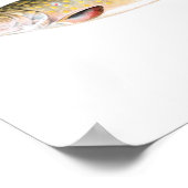 Fischplakat - Bachforelle Weibliche Fische Poster (Ecke)