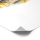 Fischplakat - Braune Forellen Fische Poster (Ecke)