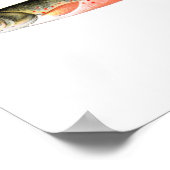 Fischplakat - kanadische Rote Forelle Female Fish Poster (Ecke)