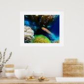 Fischplakat Poster (Küche)