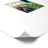 Fischplakat Poster (Ecke)