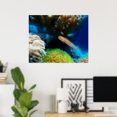 Fischplakat Poster (Heimbüro)