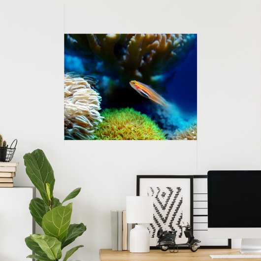 Fischplakat Poster (Heimbüro)