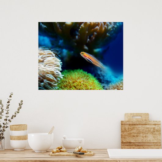 Fischplakat Poster (Küche)