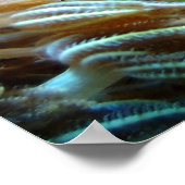 Fischplakat Poster (Ecke)