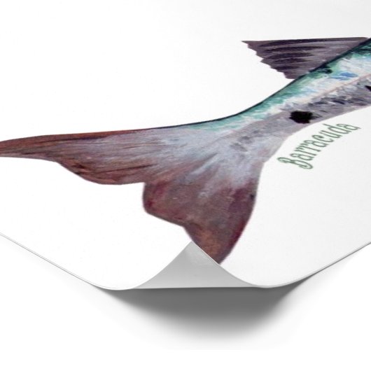 Fischplakat Poster (Ecke)