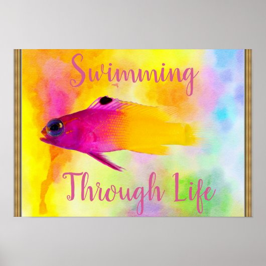 Fischplakat Poster (Vorne)