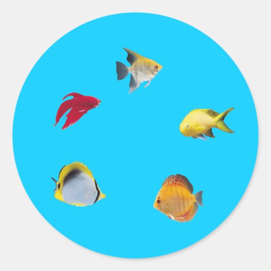 Fischschale Runder Aufkleber (Vorderseite)