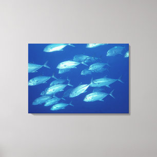 Fischschule 10 leinwanddruck