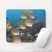 Fischschule 2 mousepad (Mit Mouse)