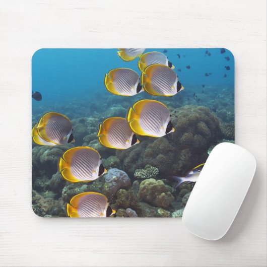 Fischschule 2 mousepad (Mit Mouse)