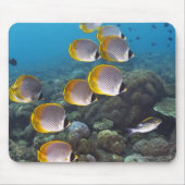 Fischschule 2 mousepad (Vorne)