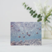 Fischschule 3 postkarte (Stehend Vorderseite)