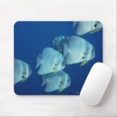 Fischschule 5 mousepad (Mit Mouse)