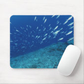 Fischschule 6 mousepad (Mit Mouse)