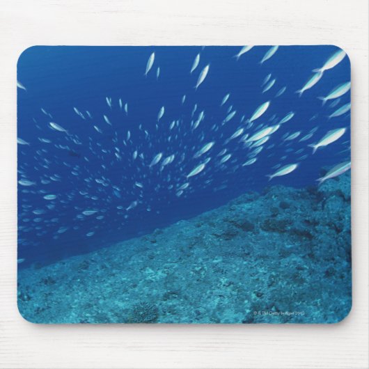 Fischschule 6 mousepad (Vorne)