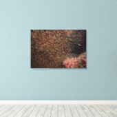 Fischschule 8 leinwanddruck (Insitu (Holzboden))