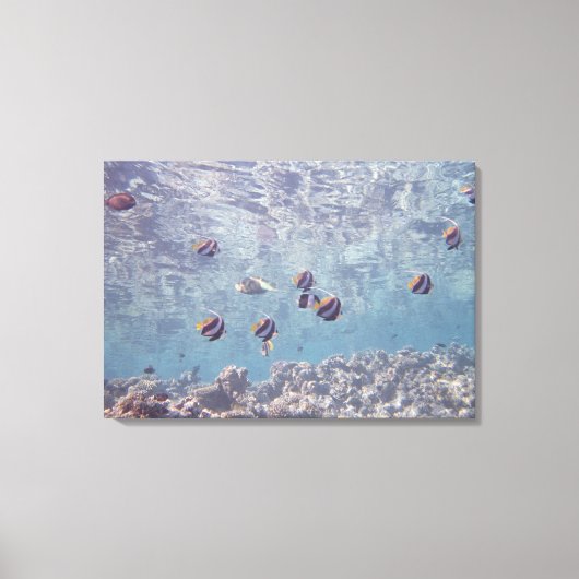 Fischschule 9 leinwanddruck (Vorderseite)