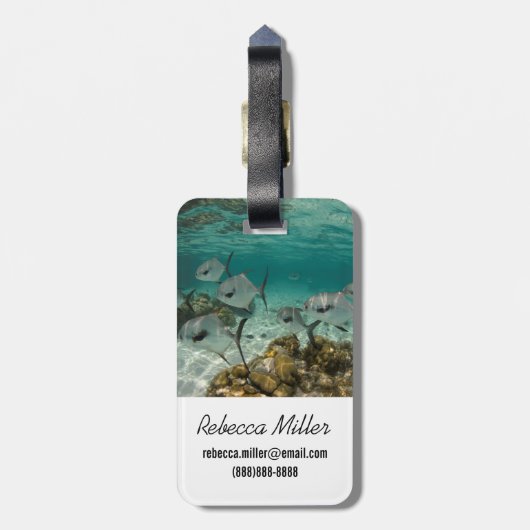 Fischschule Gepäckanhänger (Rückseite vertikal)