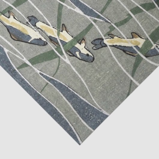 Fischschule in Kelp Seidenpapier (Detail)