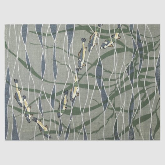 Fischschule in Kelp Seidenpapier (Vorderseite)